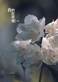 【快穿】情迷三千