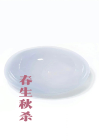 锦瑟思华年
